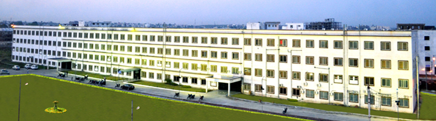 Sarvepalli Radhakrishnan University