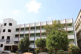 NRI Institute of Pharmaceutical Science
