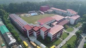 Dolphin (PG) Institute of Biomedical and Natural Sciences
