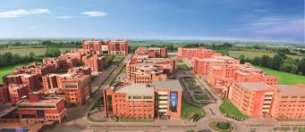 Amity University - Noida