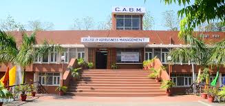 College of Agribusiness Management