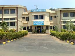 College of Forestry
