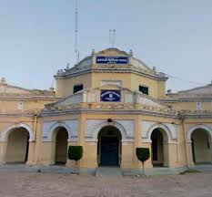 Government Brijindra College