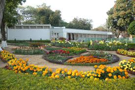 Indian Institute of Natural Resins and Gums - IINRG