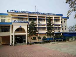 National Research Center on Pig