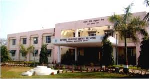 National Research Centre for Litchi (NRCL)