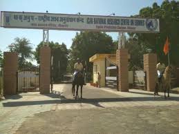 National Research Centre on Equines (NRCE)