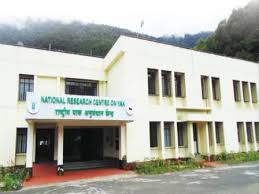 National Research Centre on Yak