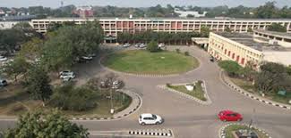 Punjab Agricultural University