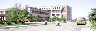 Radical Business School