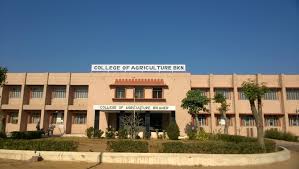 Rajasthan College of Agriculture