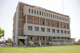 Radical Business School