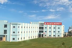 Sai Nath College of Management