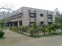 DN Polytechnic