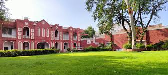 Ellen College of Design