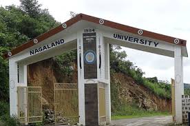 Nagaland University 