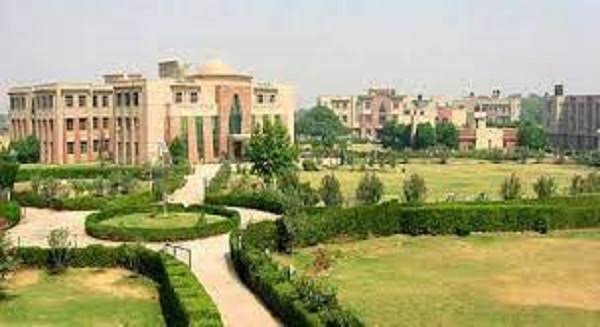 Singhania University