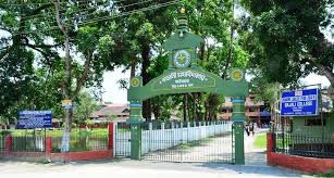 Bhattadev University
