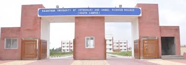 College of Veterinary and Animal Sciences