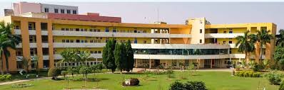 CV Raman Global University