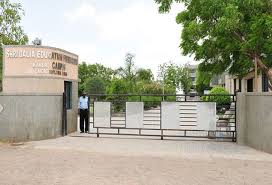 Dalia Institute of Technology