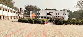Dhanauri College