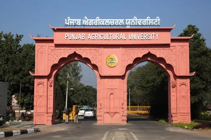 PAU Ludhiana - Punjab Agricultural University, Ludhiana