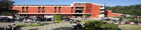 IPS Law College 