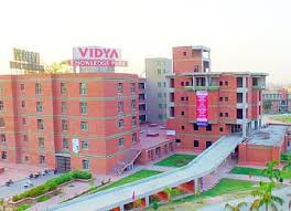 Vidya University, Meerut