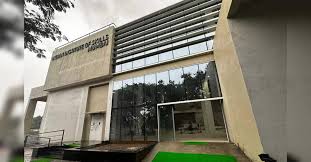 Indian Institute of IT and Skill Development