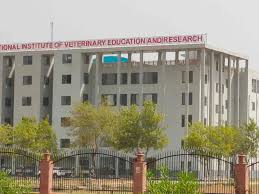 International Institute of Education and Research