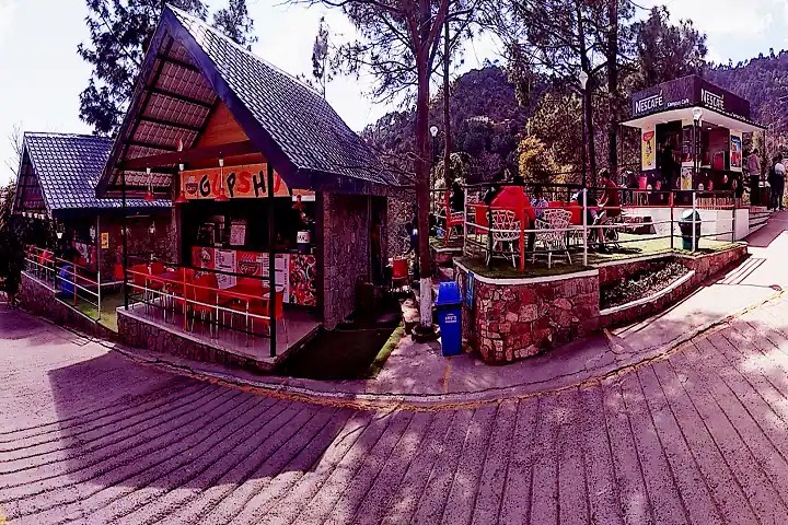 Shoolini University Solan - Shoolini University of Biotechnology and Management Sciences, Solan