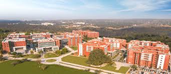 Amity Institute of Architecture and Planning