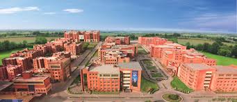 Amity University - Noida
