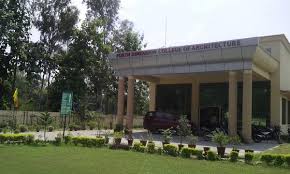 Forth Dimension College of Architecture