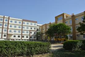 VIPS Group of Institution