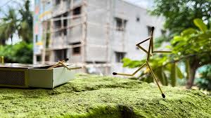Image Institute of Multimedia Arts and Graphic Effects, IMAGE Perambur