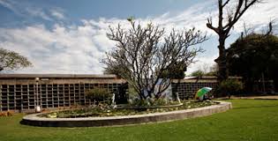 Government College Of Art And Craft