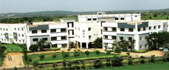 Madhyanchal Professional University