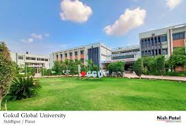 Gokul Global University