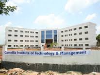 Camellia Institute of Aviation