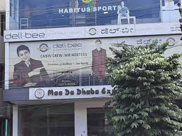 Dellbee Aviation Academy