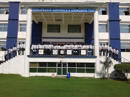 Indraprasth Institute of Aeronautics