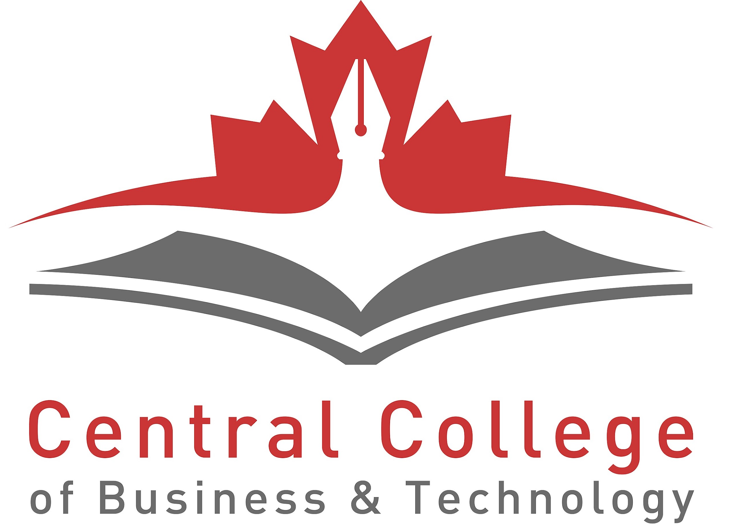 The Central IT College
