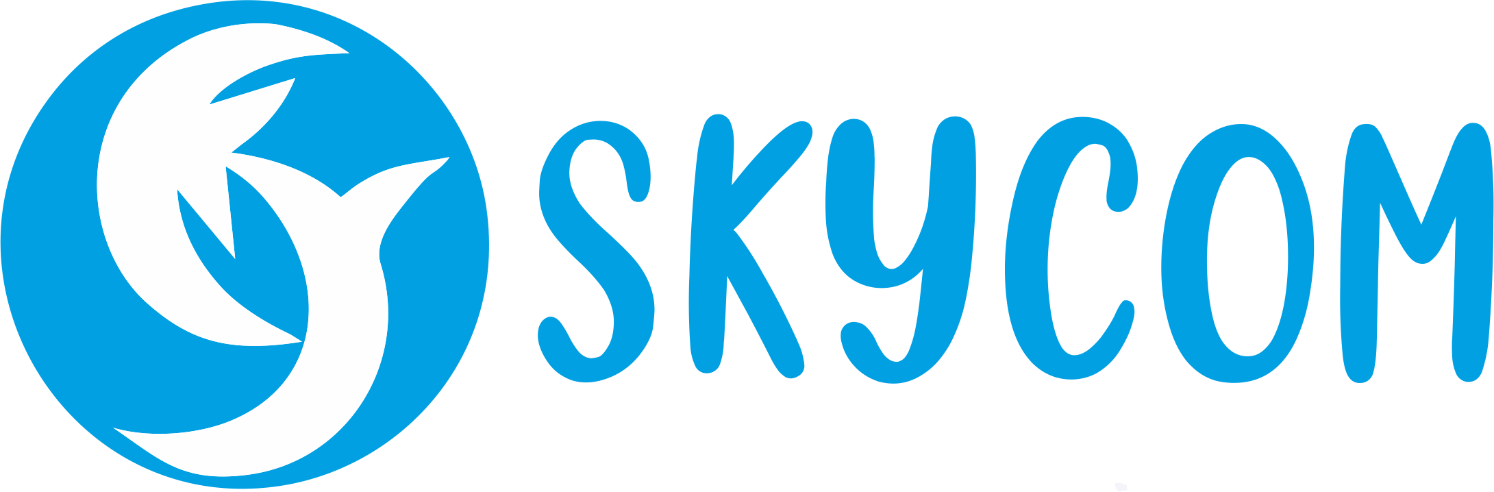 Sky Computer Education
