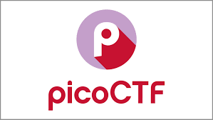 Piko Software Training Institute
