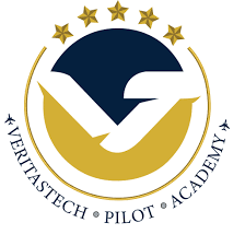 Thisai Training
