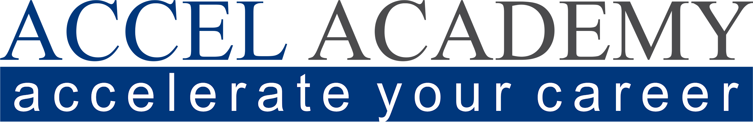 Accel IT Academy
