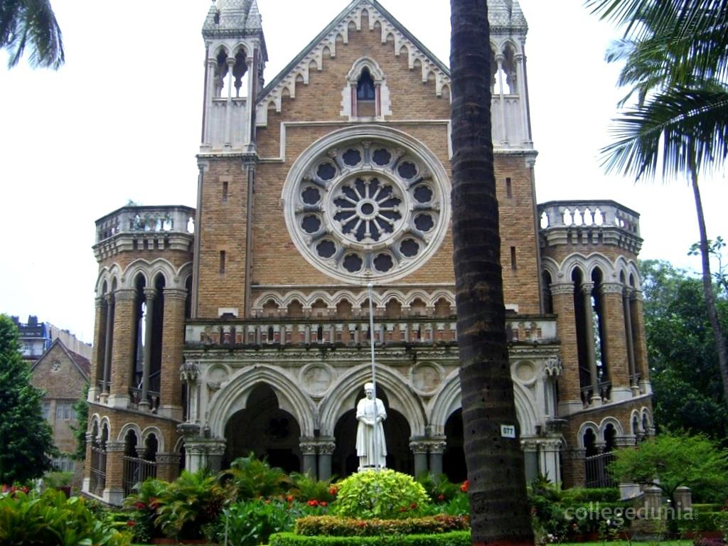 National Institute Of Management & Science
