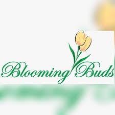 Blooming Buds Montessori

